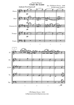 Clair de Lune (woodwinds quintet)